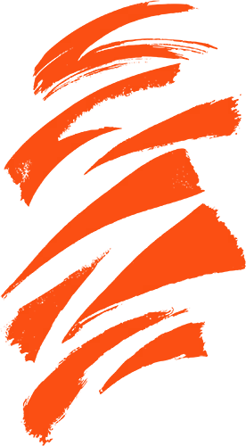 Cincinnati Bengals Stripes