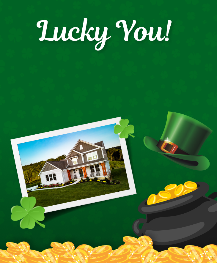 Lucky You